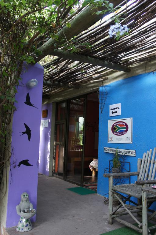 Cape Agulhas Backpackers Vandrehjem Struisbaai Værelse billede